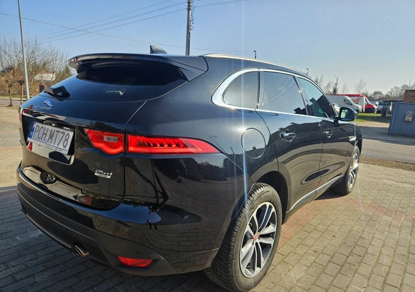 Jaguar F-Pace cena 109900 przebieg: 112000, rok produkcji 2017 z Szamocin małe 254